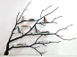 "Bilbao (Treet Shelf)," native wood, stainless steel, and glass, 150”x50”x30”