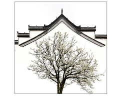 lHgLa采集到室内设计