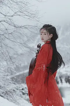 七绝《雪舞寒天》平水韵 ...@小可儿花尖诗词的动态