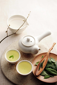 鳞潜羽翔123采集到茶