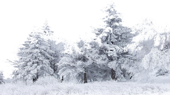 合成 c4d素材 家居素材 IP角色 c...
