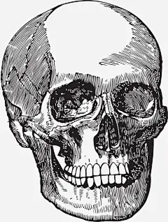 手绘头骨免抠素材_新图网 https://ixintu.com 人 卡通 头骨 手绘 牙齿 眼眶 简图 黑色 鼻孔