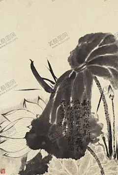 花鸟图  【酷图网】花鸟图,花鸟画,水墨画,水墨花鸟画,水墨花鸟图,花卉图,花卉画,水墨花卉,喜鹊,锦春图,手绘,手绘花纹,工笔画,花鸟工笔画,花鸟,花纹,花朵,牡丹,郎世宁,国画,中国画,清朝生活,清朝宫廷画,清代宫廷画,庭院画,清朝场景,清代庭院,清代生活,清朝建筑,清朝山水画,