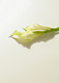 CHQ_9791