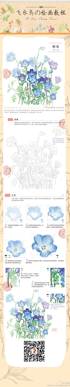 BBNwjLm7采集到花草