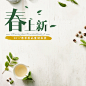 点击图片下载全套PSD源文件：茶类 春茶 秋茶 铁观音 普洱 菊花茶 花茶 玫瑰花茶 中国风 清新 熟茶 生茶 茶饼 黑茶 海报 banner图 首焦 首页 PC 无线 大气 作品 时尚 首屏 全屏海报 背景 素材 下载 PSD分层 模板 美工 设计师 模型 主图 活动页面 可编辑 钻展 直通车 活动海报 详情页 描述