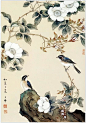百啭千声随意移，山花红紫树高低 -今日头条