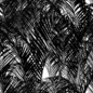 GSG_Gobos_Plants_Palm_05_thumb