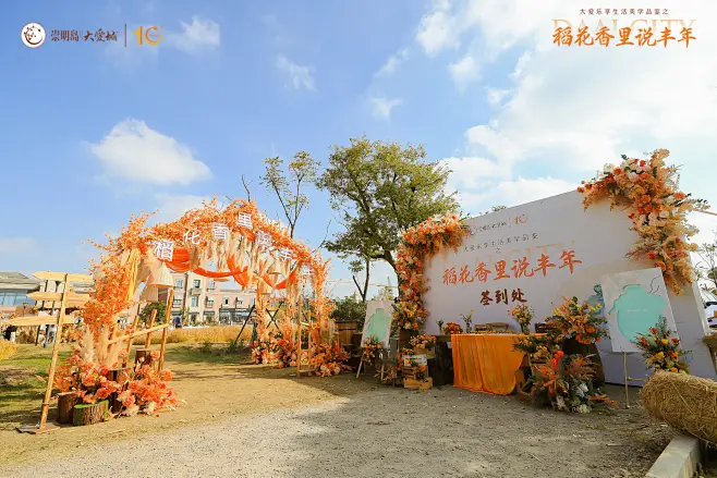自然材质布置内的花瓣采集图片-巧克因