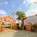 大爱乐享生活美学品鉴会-案例分享-图集-活动汪