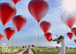 巨大的红气球之太阳能收集装置