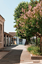pierre-moret-hkGjHQkJtcs-unsplash