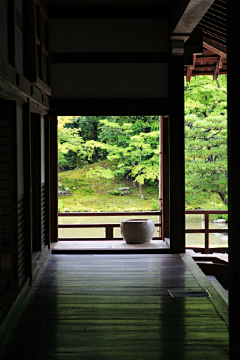 纪冰采集到鹤菊