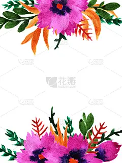 水彩紫罗兰花。手绘花卉模板卡