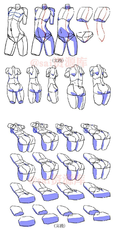 等花开0330采集到人体比例