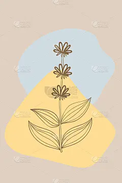 龙胆草黄，摘要，海报，最小dd草本