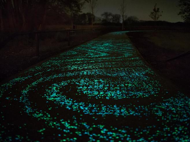 荷兰建世界首条夜光自行车道 "梵高星夜"...