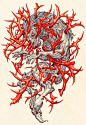 台湾艺术家James Jean的惊艳插画作品-2014年(原图尺寸：740x1073px)