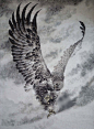 FullSizeRender.jpg 900×1,226 pixels