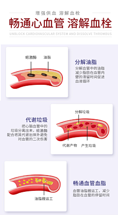 Phoebe_r采集到血管