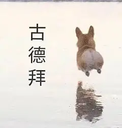 有哪些万能的表情包推荐？ - 知乎