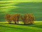 Spring South Moravia