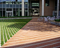 Lawn and paving pattern // Tom Leader Studio