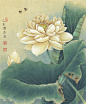 馨香无华·《荷》