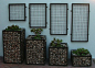 Gabion planters with wall-mounted trellises