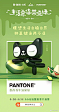 (8) Pinterest