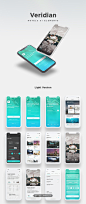 iPhone X的优雅酒店和旅行用户界面套件 Veridian iOS UI Kit UI设计 App界面