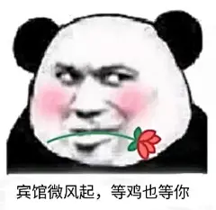 53699宾馆微风起，等鸡也等你 斗图 表情包 花瓣搜索【关键字+飞天胖虎】可以找到系列表情包