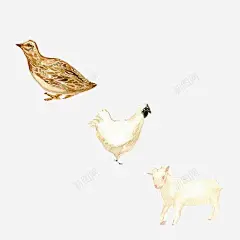 家禽手绘画片高清素材 免抠 设计图片 免费下载 页面网页 平面电商 创意素材 png素材