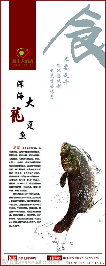 海鲜素材14种 海鲜菜肴 海鲜做法 龙趸...