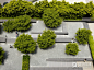 园林景观网-旧金山认证中心公司总部花园设计-花园设计