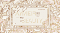 马来西亚《AYMEIR》品牌包装设计—Beauty from Within-古田路9号-品牌创意/版权保护平台