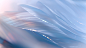 Microsoft | Windows 365 Cloud PC on Behance