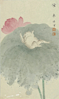 每日国画灵感分享-077｜一气呵成，金玉满堂_16_轻上云雀_来自小红书网页版