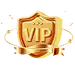 会员VIP
