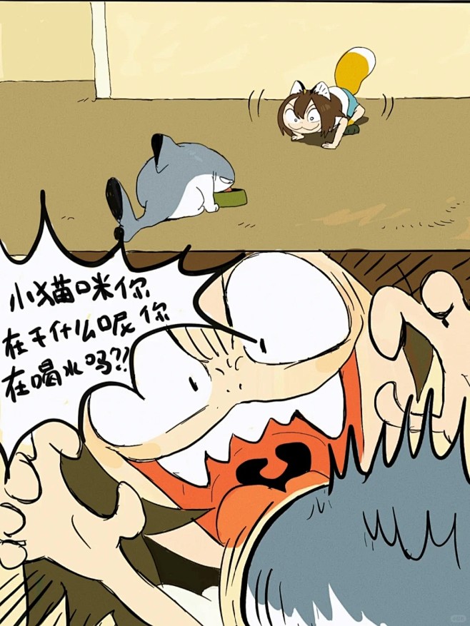 鲨猫今天变洒猫_2_yogin幺了个菁_...