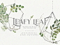 **DOWNLOAD LINK** https://creativemarket.com/juliabrnv/2367610-Leafy-Leaf-Collection?u=KVArts

This terrarium contains all the shades of green forest foliage. Just add ready-made graphics: patterns, frames and wreaths. But also a big variety of individual