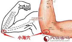 高清图解小海穴的准确位置图