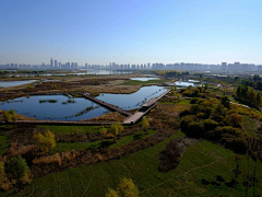 大大力水手采集到架空栈道