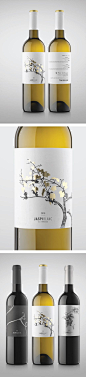 Jaspi Wines by Atipus | Package Design.