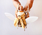 DIY Paper Beetle Sculpture Kits by Assembli - Stag Beetle Gold