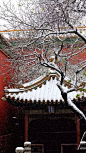 20151222105256_ELwyu.thumb.700_0