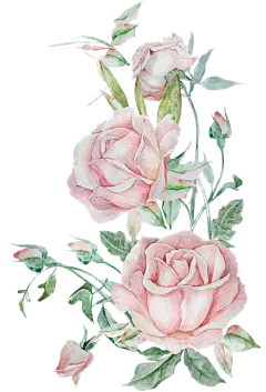 faec3039d22e4a75c365dca7a7491eb8ca8ed964e39a8b-CcZYTN_fw1200