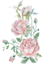 faec3039d22e4a75c365dca7a7491eb8ca8ed964e39a8b-CcZYTN_fw1200