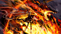 anime dragons fire wallpaper (#940283) / Wallbase.cc