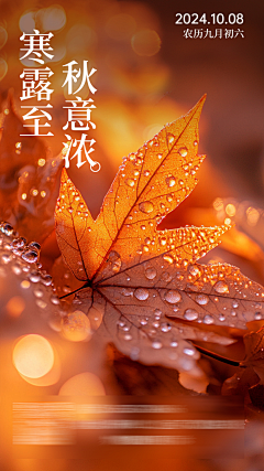 Ven枫采集到个人练习